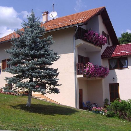 Guesthouse Hodak Selište Drežničko Kültér fotó