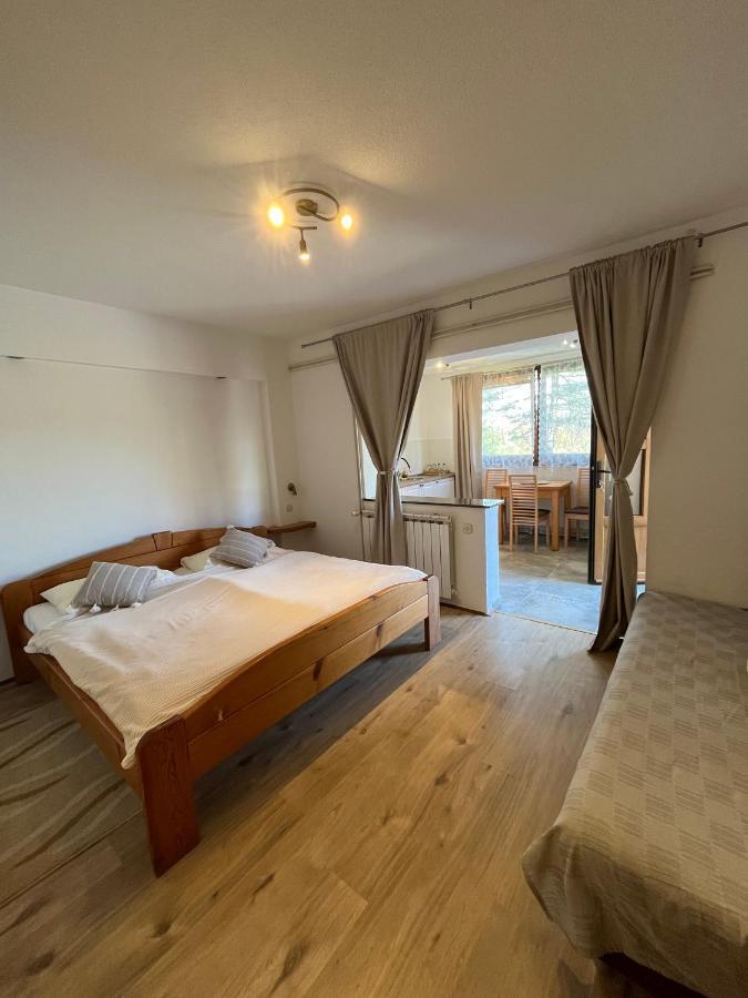 Guesthouse Hodak Selište Drežničko Kültér fotó