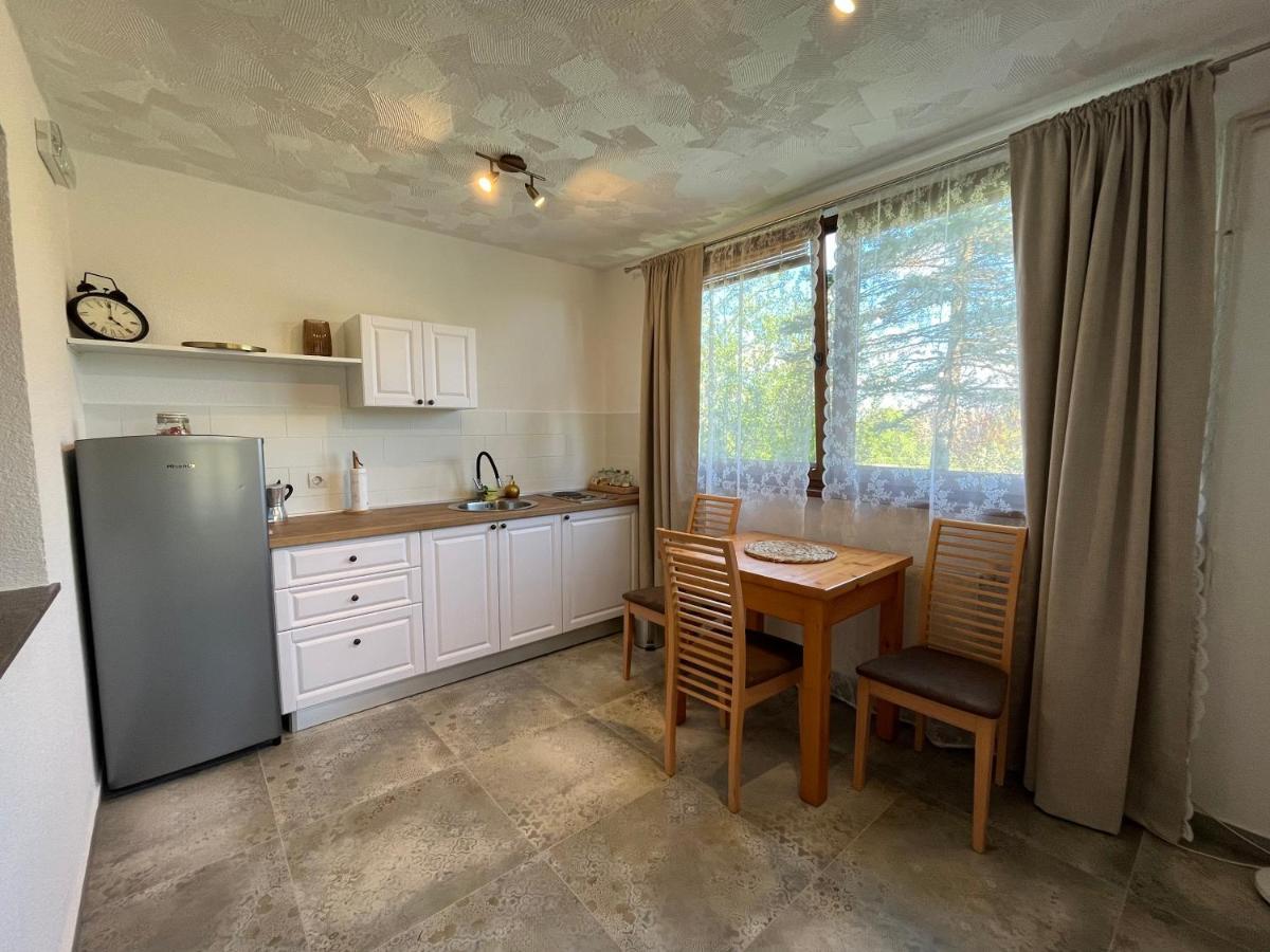 Guesthouse Hodak Selište Drežničko Kültér fotó