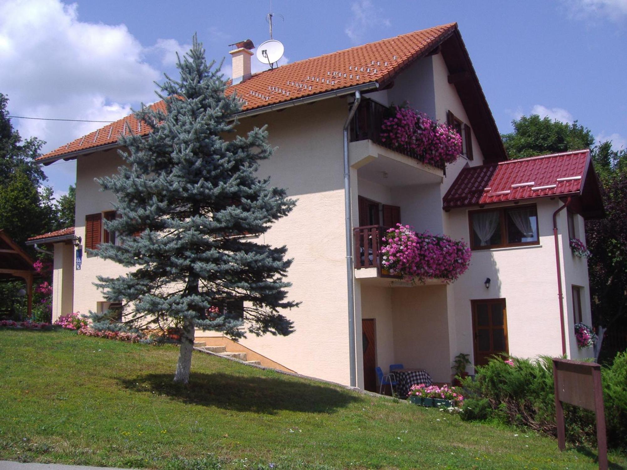 Guesthouse Hodak Selište Drežničko Kültér fotó